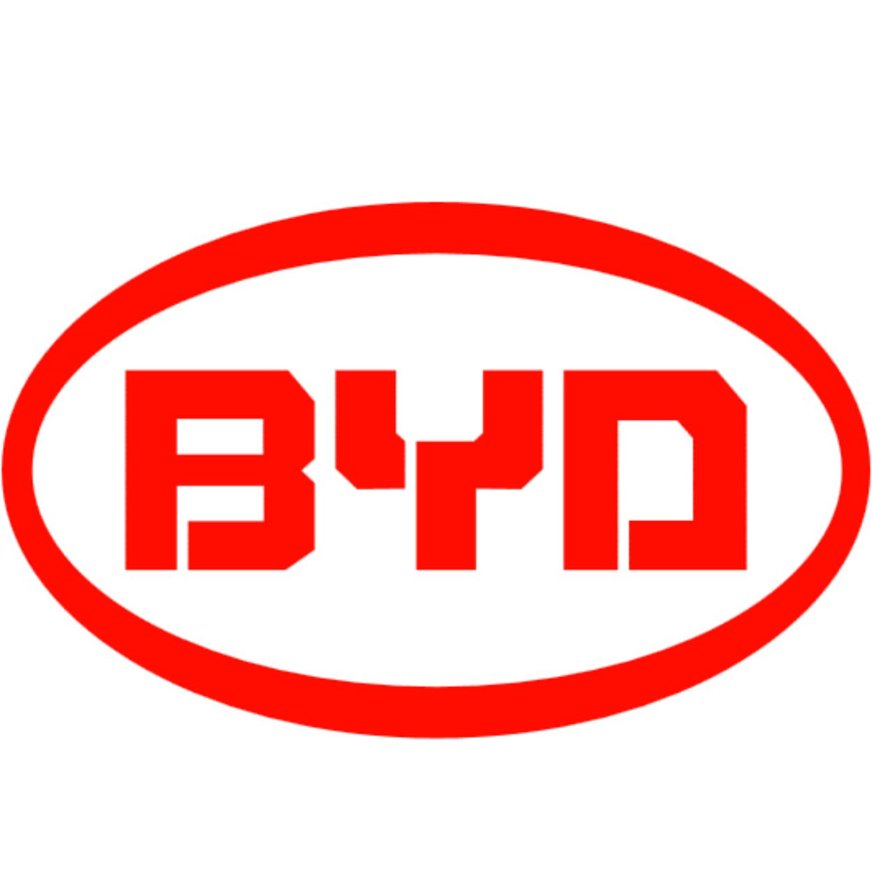 BYD Logo bei LPE GbR in Fulda